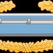 Master Combat Infantryman Badge