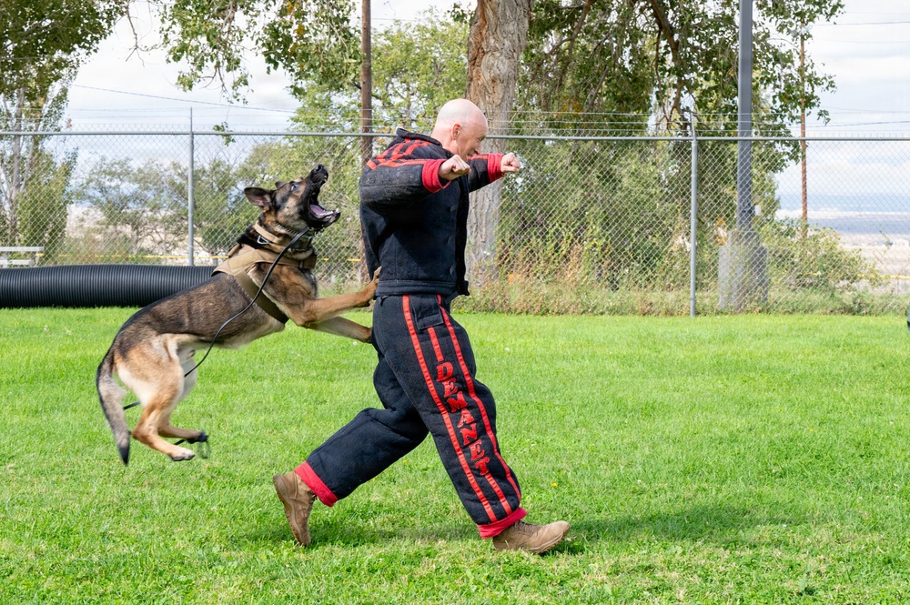 Kirtland Command Chief with Security Forces K-9 Unit