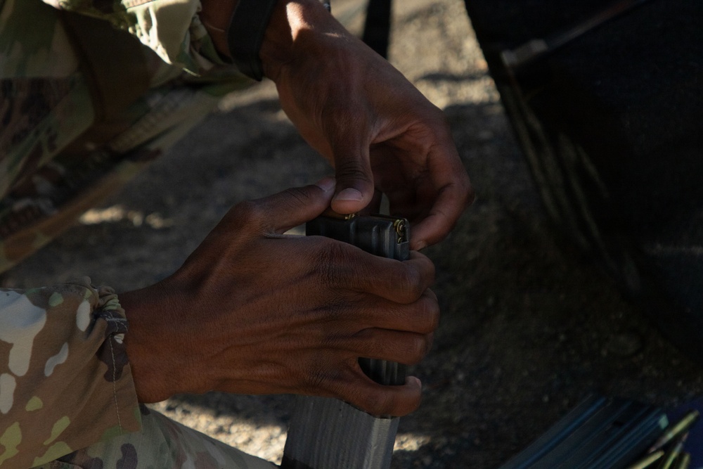 Eagle Marksman Competition