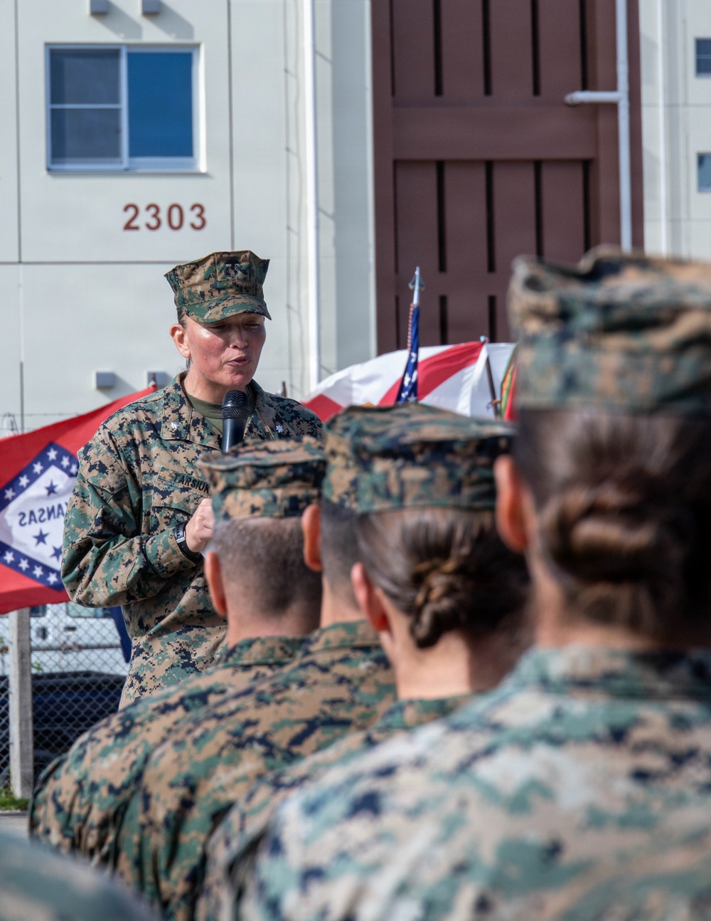 31st MEU | CLB 31 Change of Command Ceremony