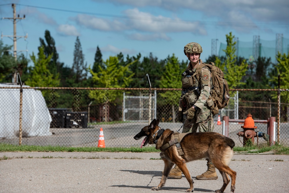 Osan EOD and K9 conduct collaborative training