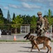 Osan EOD and K9 conduct collaborative training