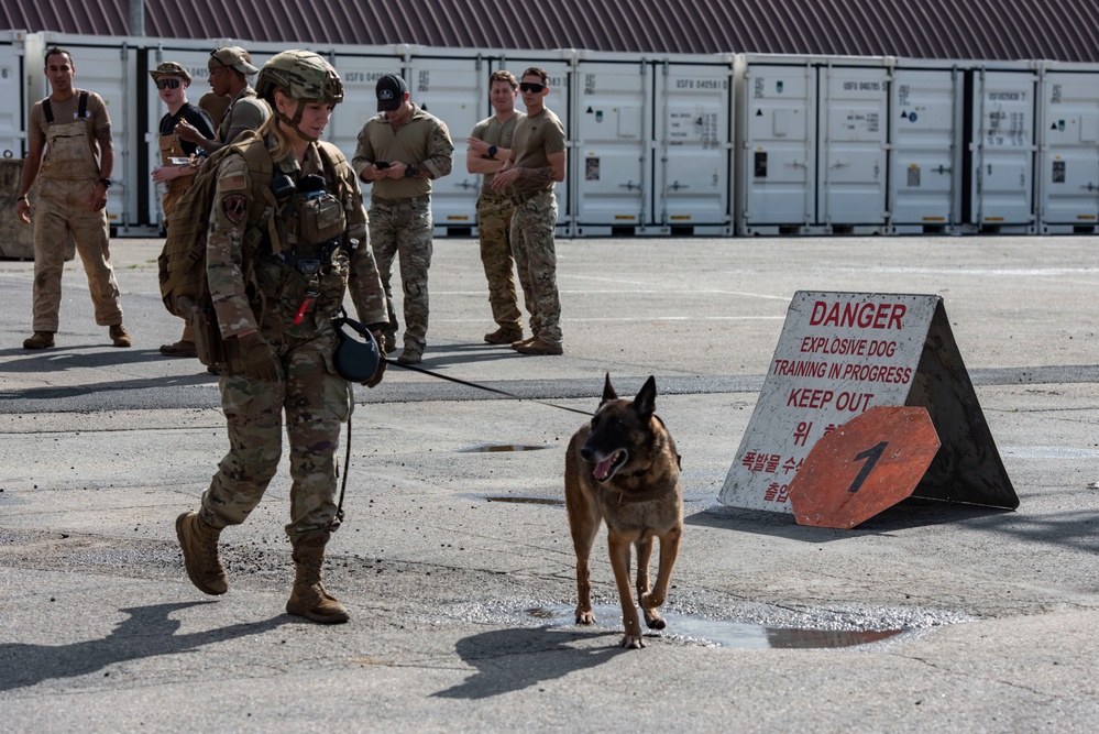 Osan EOD and K9 conduct collaborative training