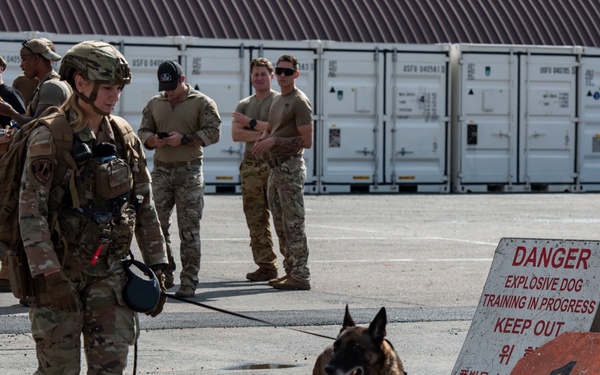 Osan EOD and K9 conduct collaborative training