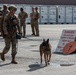Osan EOD and K9 conduct collaborative training