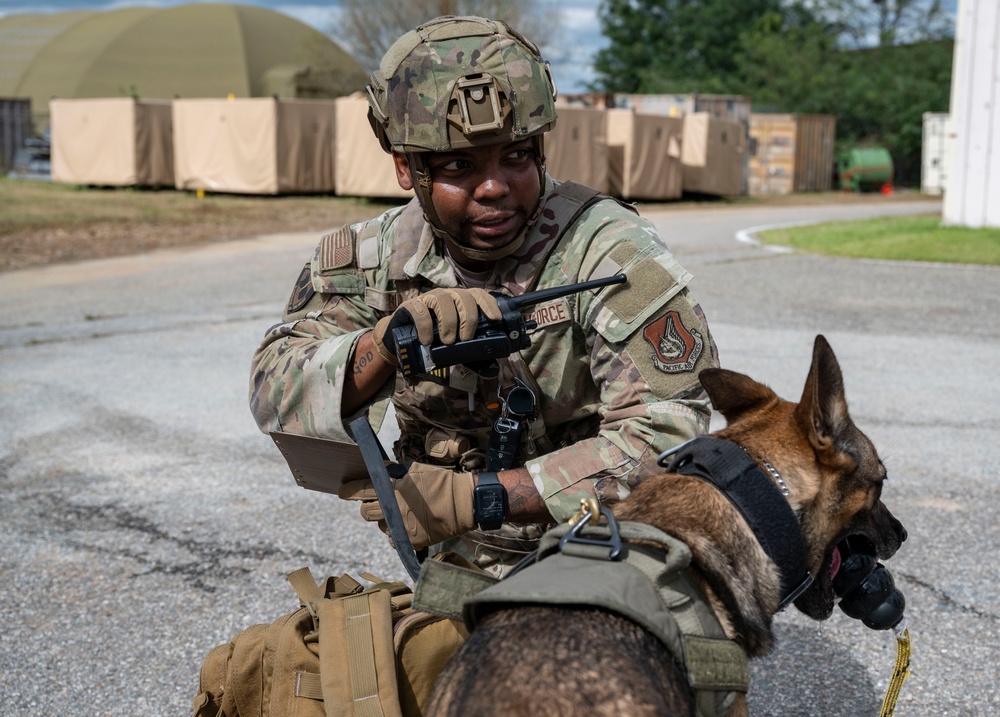 Osan EOD and K9 conduct collaborative training