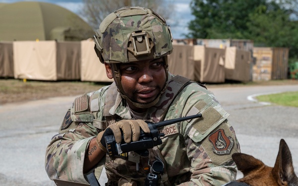 Osan EOD and K9 conduct collaborative training