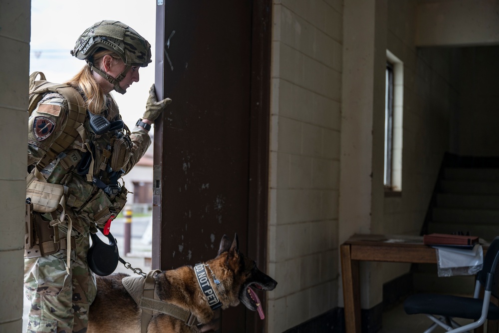 Osan EOD and K9 conduct collaborative training