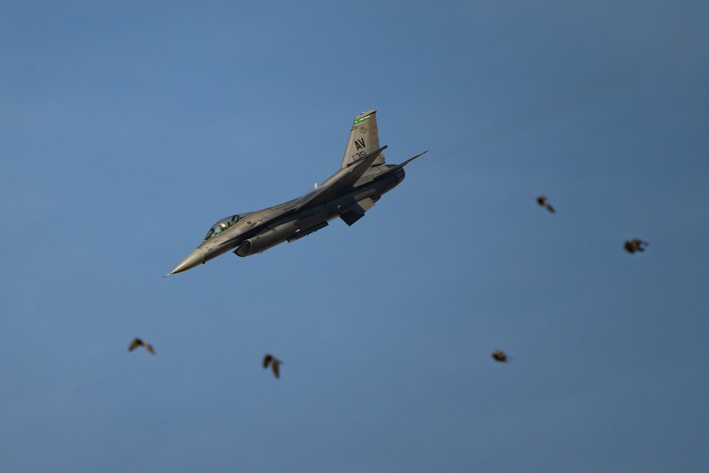 Aerial performers wow crowds at Dubai Airshow 2025