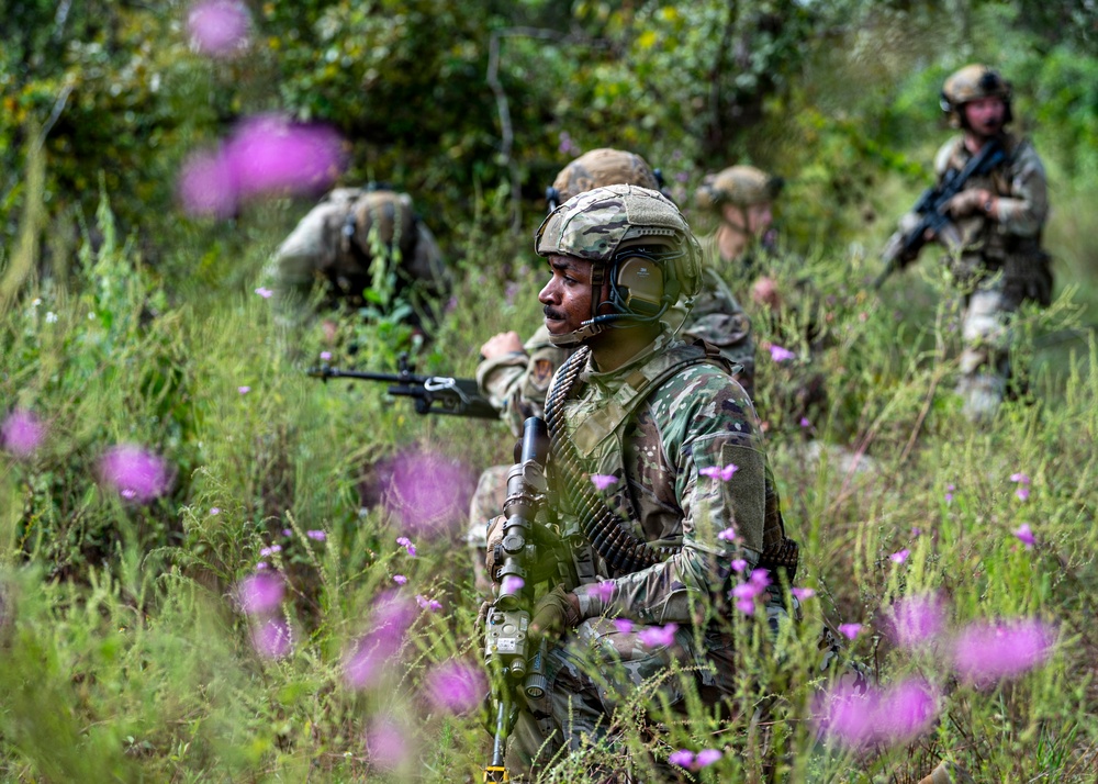 822 BDS conducts IRON SAFESIDE exercise