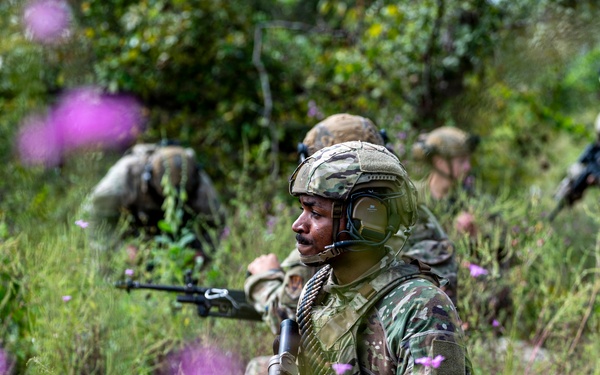 822 BDS conducts IRON SAFESIDE exercise