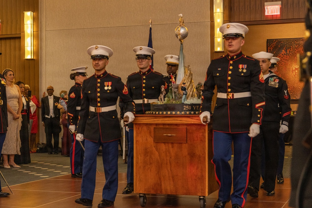 Wounded Warrior Regiment 250th Marine Corps Birthday Ball