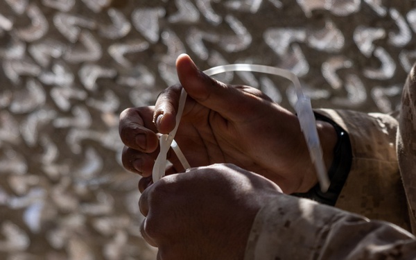 U.S. Marines with 3rd Bn., 7th Marines and 1st CEB conduct company attacks during Range 400