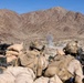 U.S. Marines with 3rd Bn., 7th Marines and 1st CEB conduct company attacks during Range 400