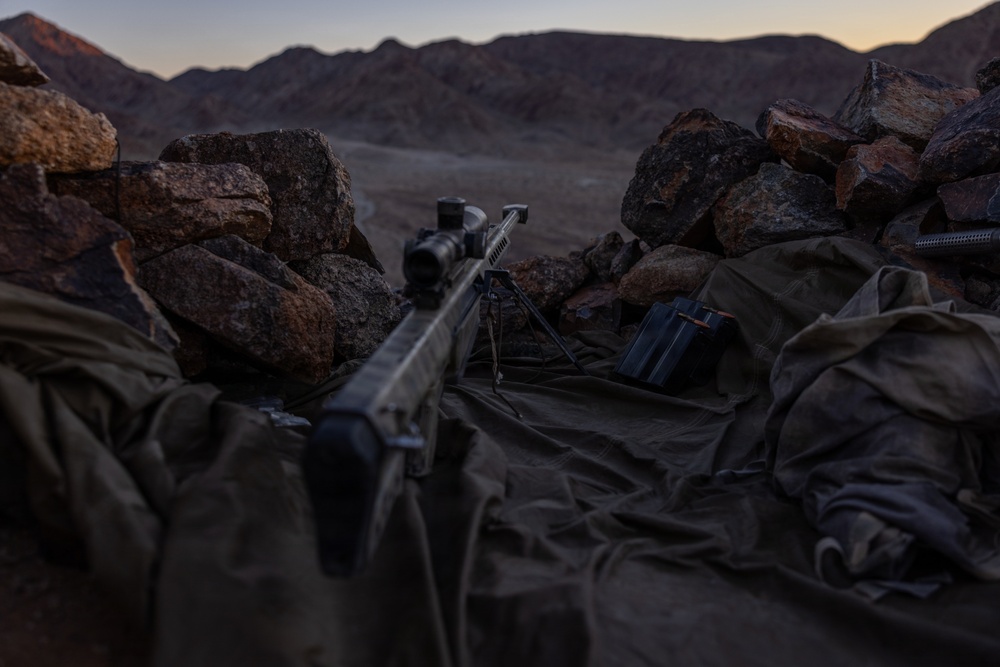 U.S. Marines with 3rd Bn., 7th Marines and 1st CEB conduct company attacks during Range 400