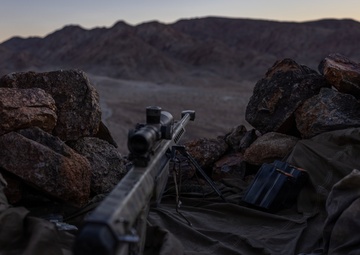 U.S. Marines with 3rd Bn., 7th Marines and 1st CEB conduct company attacks during Range 400