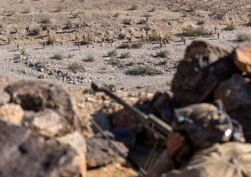 U.S. Marines with 3rd Bn., 7th Marines and 1st CEB conduct company attacks during Range 400
