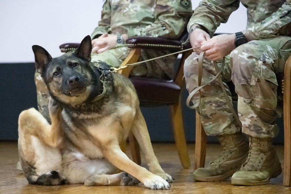 Good boys! Military working dogs retire, adopted by their handlers