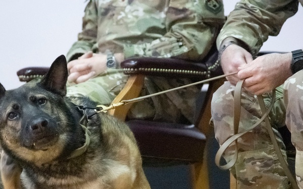 Good boys! Military working dogs retire, adopted by their handlers