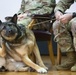 Good boys! Military working dogs retire, adopted by their handlers