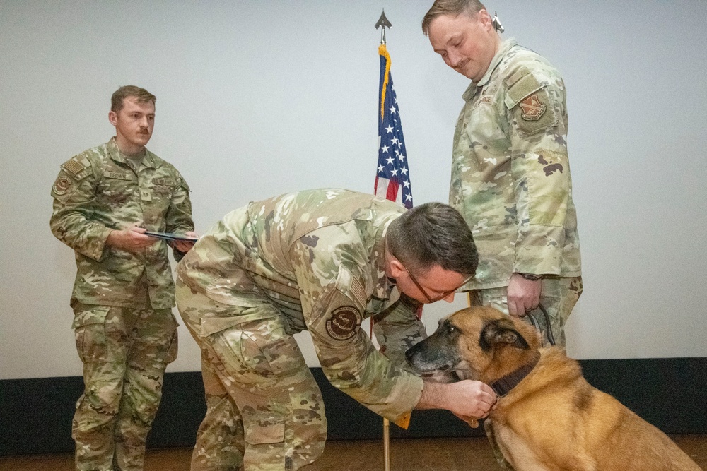 Good boys! Military working dogs retire, adopted by their handlers