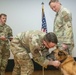 Good boys! Military working dogs retire, adopted by their handlers