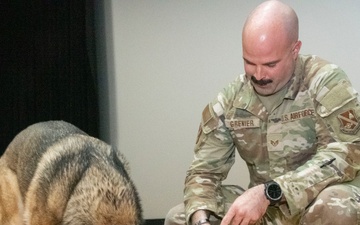 Good boys! Military working dogs retire, adopted by their handlers