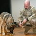 Good boys! Military working dogs retire, adopted by their handlers