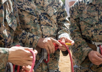 U.S. Marines with HQBN Conduct Tower Rappelling Training at MCBH