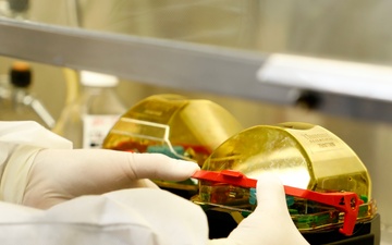 NMRC Researchers Submit Provisional Patent for Nanoparticle Vaccine