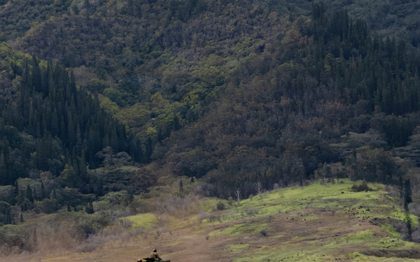 Simulated HIMARS Strikes Highlight Capabilities at JPMRC