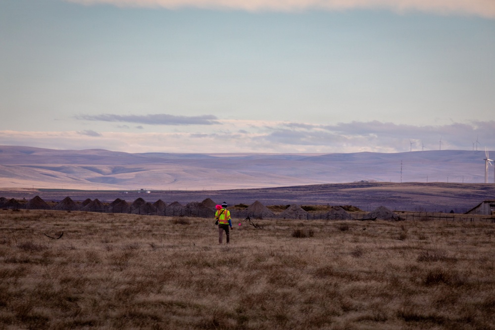 Military Munitions Response Program staff conduct fieldwork at former Umatilla Chemical Depot