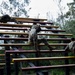 Team Hickam conducts overnight Warrior Airman Training at Schofield Barracks East Range