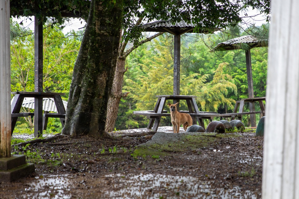 State Partnership Program Humanitarian Mission