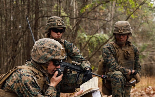 Company D 4-25 WARFEX