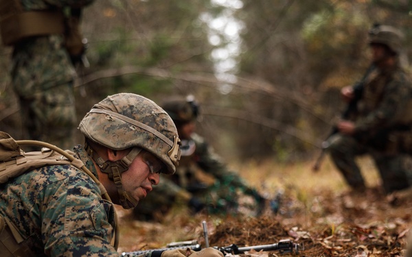 Company D 4-25 WARFEX