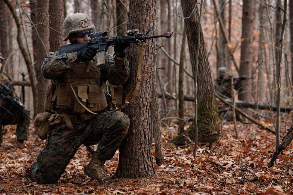 Company D 4-25 WARFEX