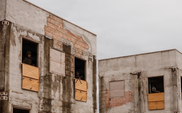 Company D 4-25 WARFEX