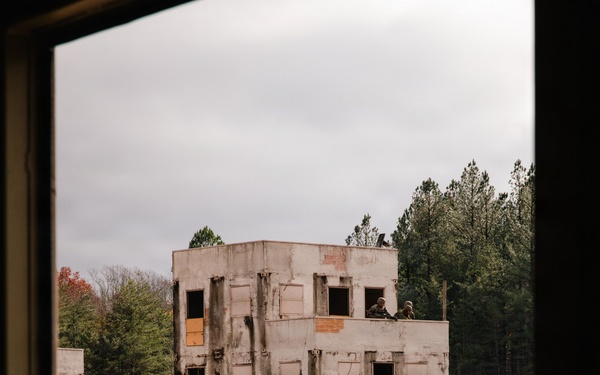 Company D 4-25 WARFEX