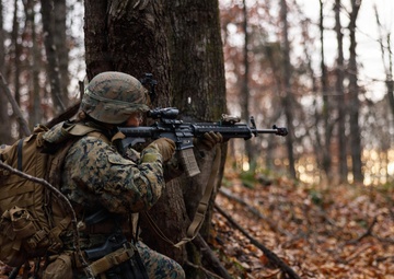 Company D 4-25 WARFEX