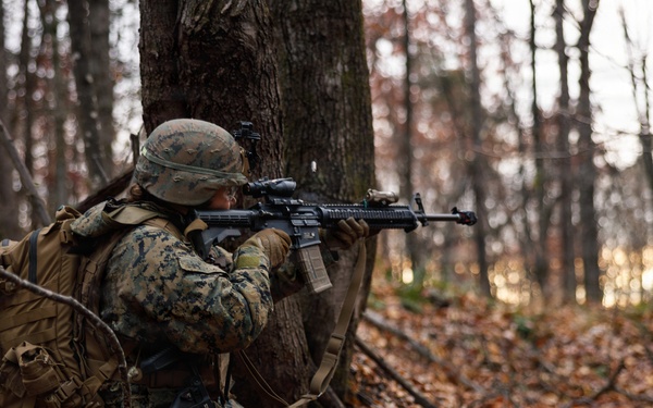 Company D 4-25 WARFEX