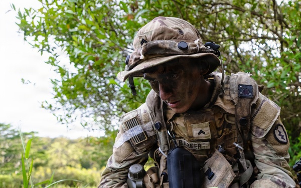 25th Infantry Division Conducts Switchblade and UAS Field Training