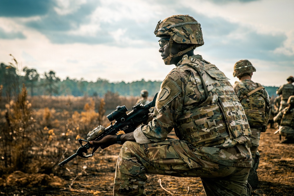 2025 11 19 IBOLC LFX