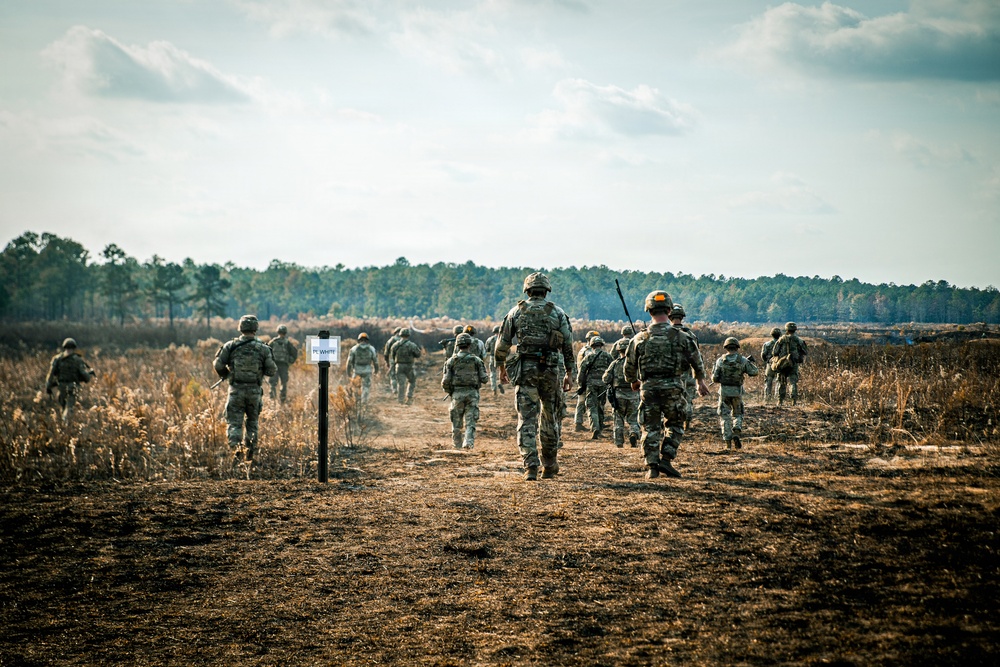 2025 11 19 IBOLC LFX