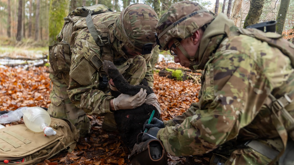 30th Medical Brigade Best of the Best