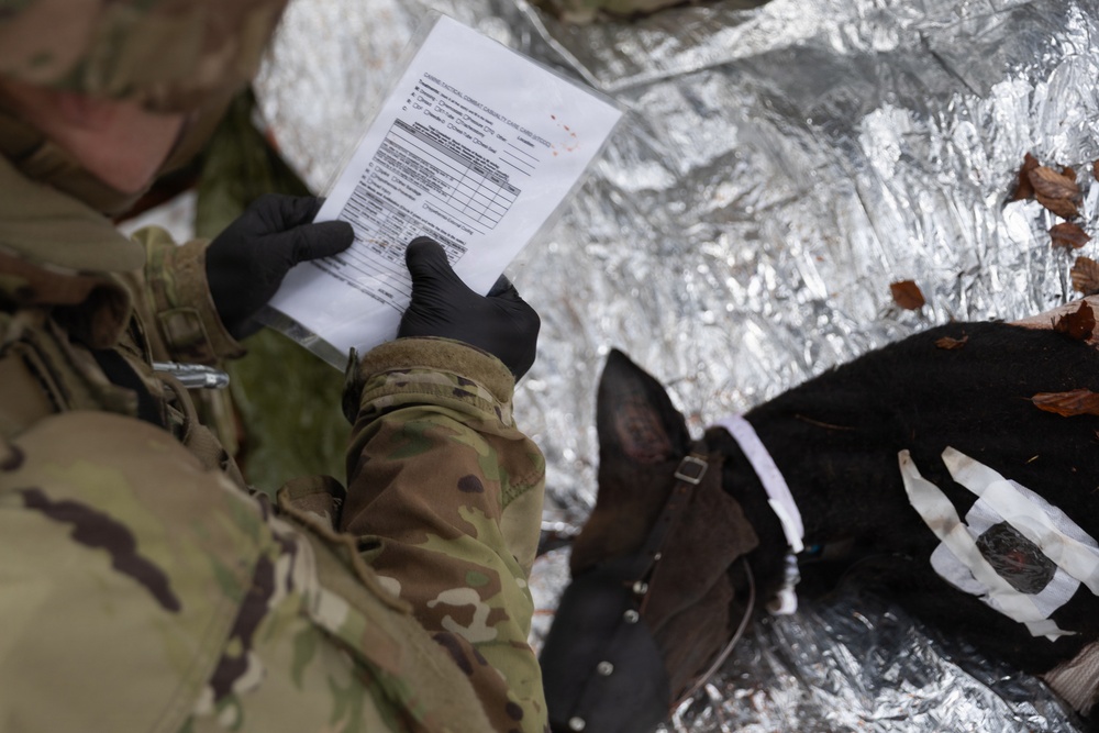 30th Medical Brigade Best of the Best