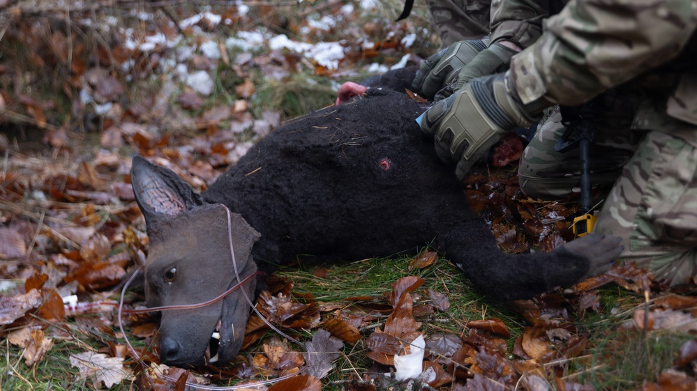 30th Medical Brigade Best of the Best