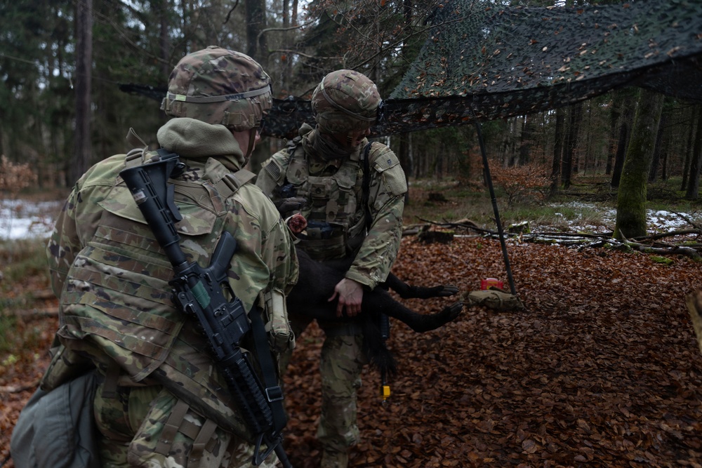 30th Medical Brigade Best of the Best