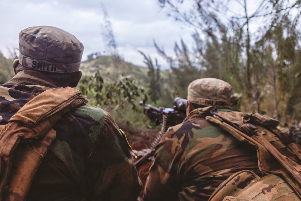 25th Infantry Division Trains with Partners During Dismounted Field Exercise