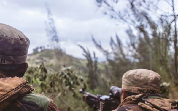 25th Infantry Division Trains with Partners During Dismounted Field Exercise